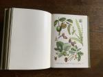 Bilder-Atlas des Pflanzenreichs植物界絵図アトラス Bilder-Atlas des Pflanzenreichs植物界絵図アトラス